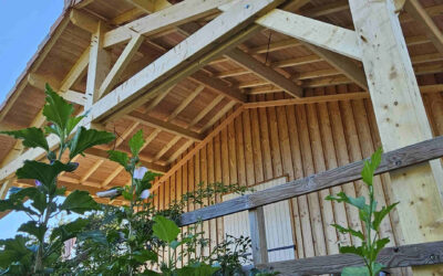 Maison bois avec terrasse en charpente traditionnelle